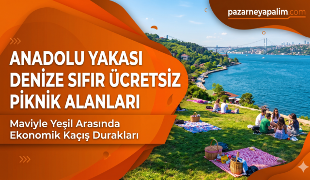 Gemini_Generated_Image_7r7qrf7r7qrf7r7q