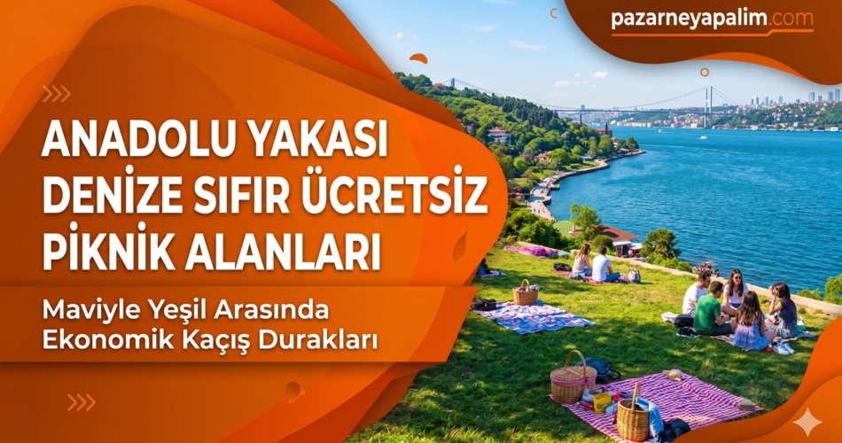 Gemini_Generated_Image_7r7qrf7r7qrf7r7q