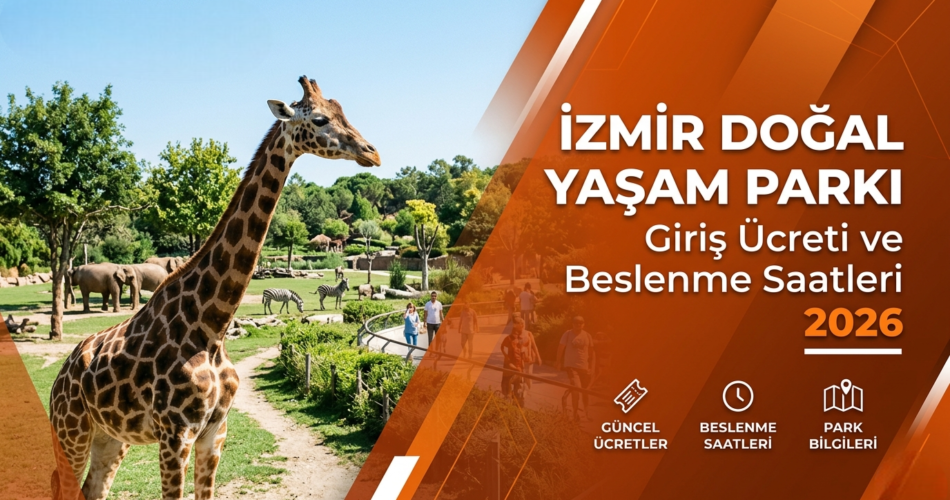 Gemini_Generated_Image_bbkwjwbbkwjwbbkw-Photoroom