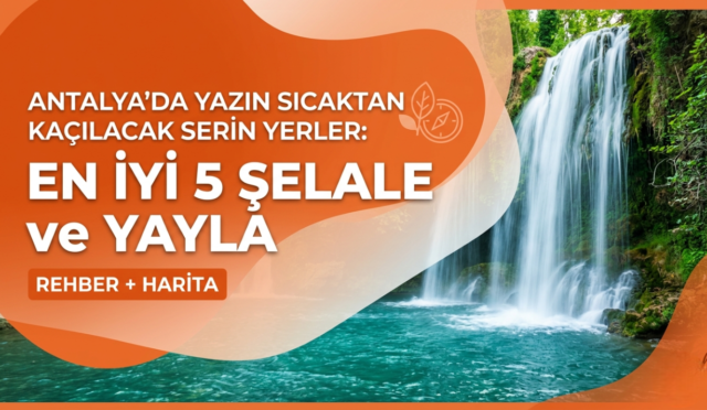 Gemini_Generated_Image_knls2jknls2jknls-Photoroom