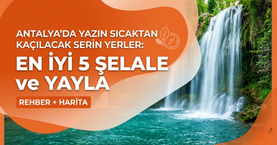 Gemini_Generated_Image_knls2jknls2jknls-Photoroom