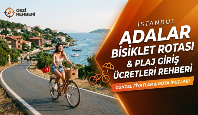 Gemini_Generated_Image_pz6wc1pz6wc1pz6w-Photoroom