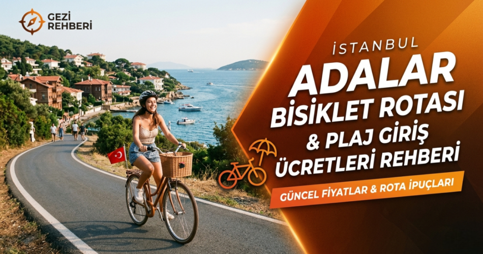 Gemini_Generated_Image_pz6wc1pz6wc1pz6w-Photoroom