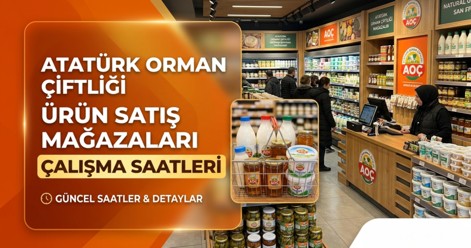 Gemini_Generated_Image_yzx440yzx440yzx4-Photoroom